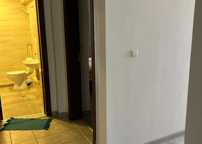 For Guests Einstein *