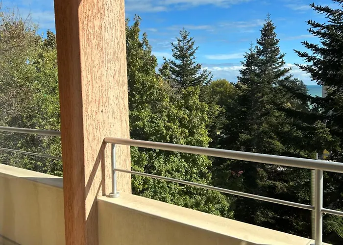 For Guests Einstein *